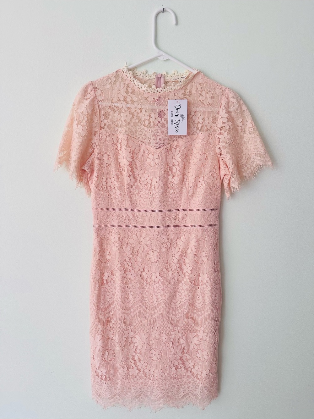 Main Strip Blush Pink Floral Lace Sheath Dress Eyelash Trim Medium NWT